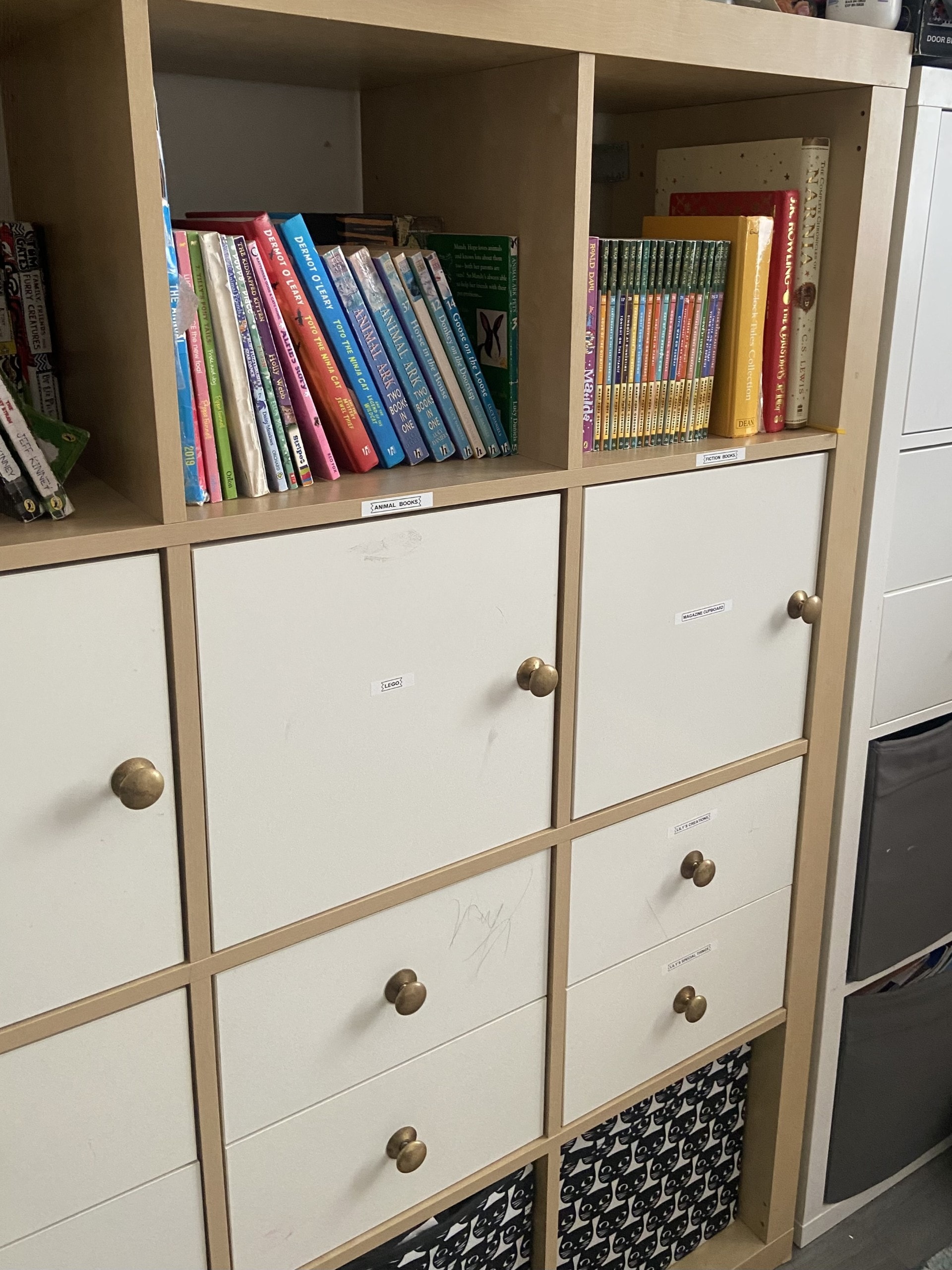 Organised bookshelf with labelled storage